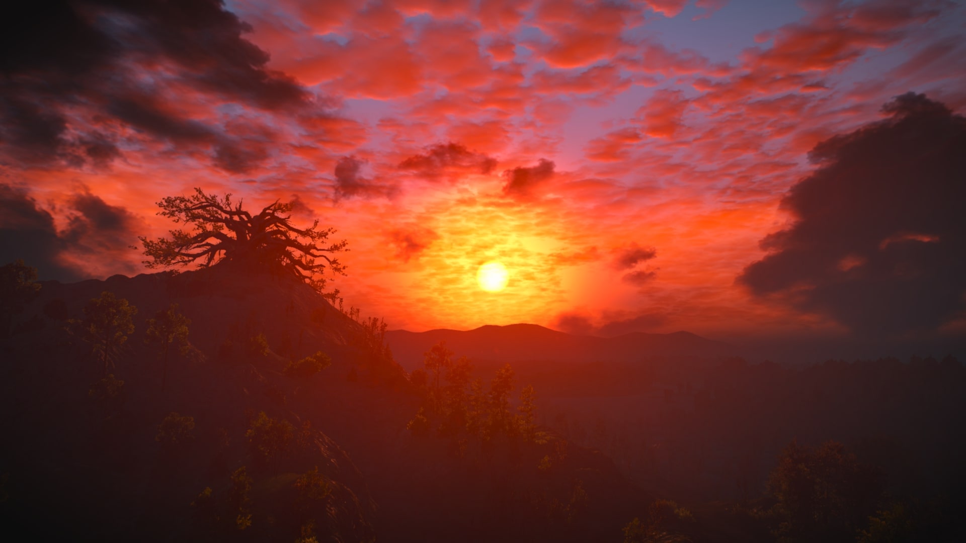 The Witcher 3 Screenshot 2020.09.13 - 15.15.21.26.jpg