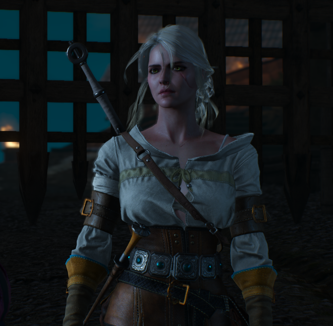 The Witcher 3 Screenshot 2024.03.27 - 14.12.01.45.png