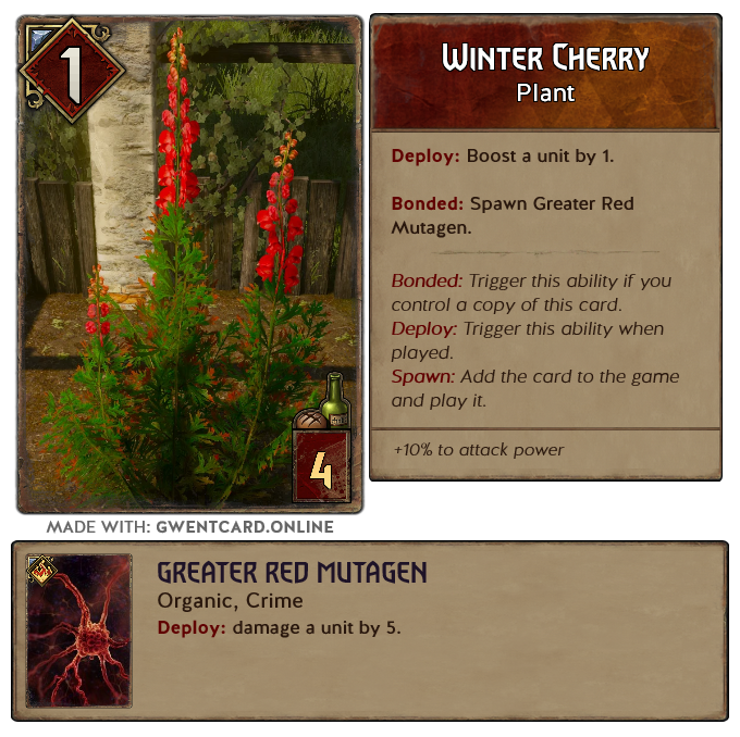 Winter_Cherry.png