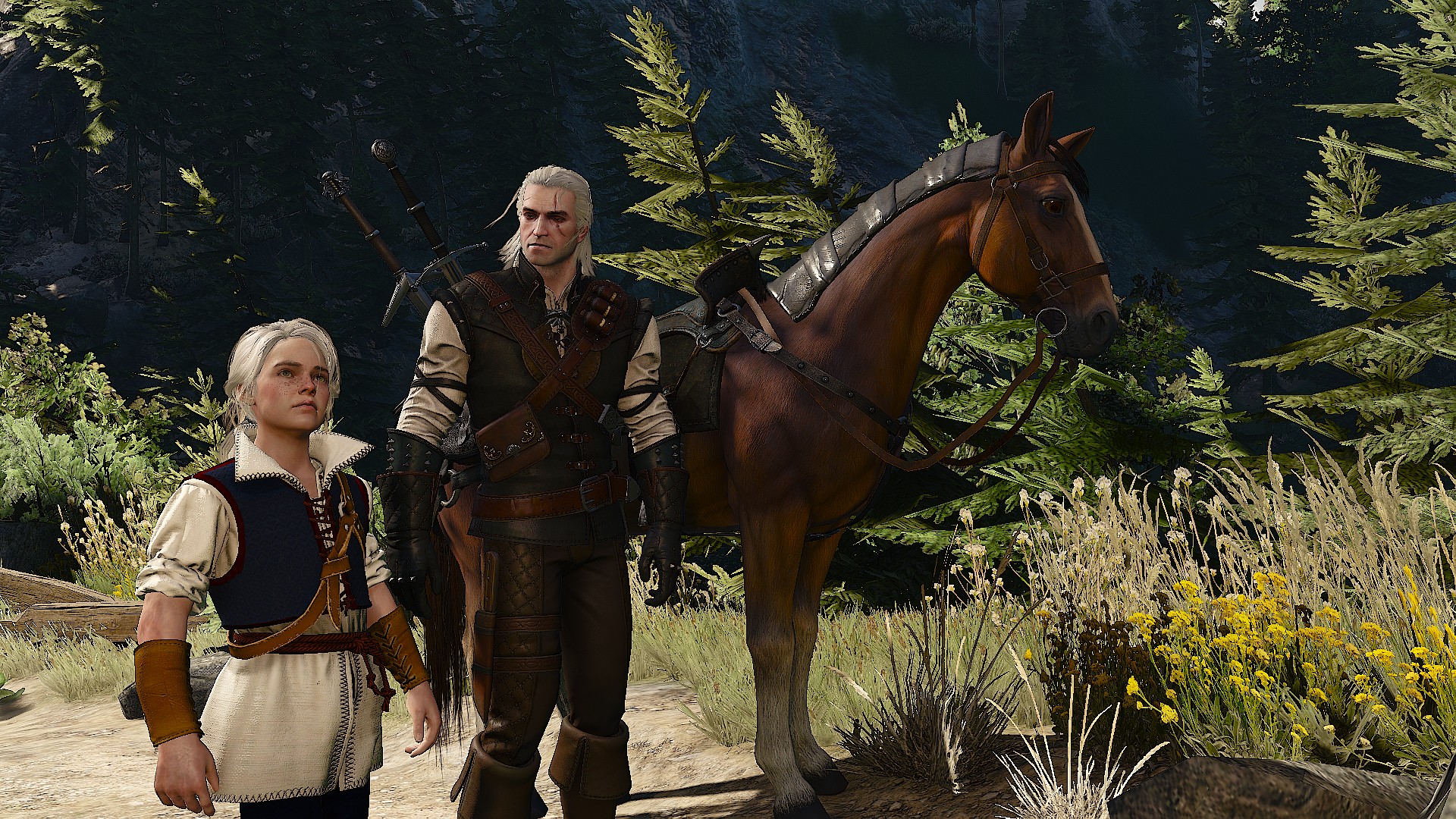 witcher3 2018-09-29 00-09-13-66.jpg