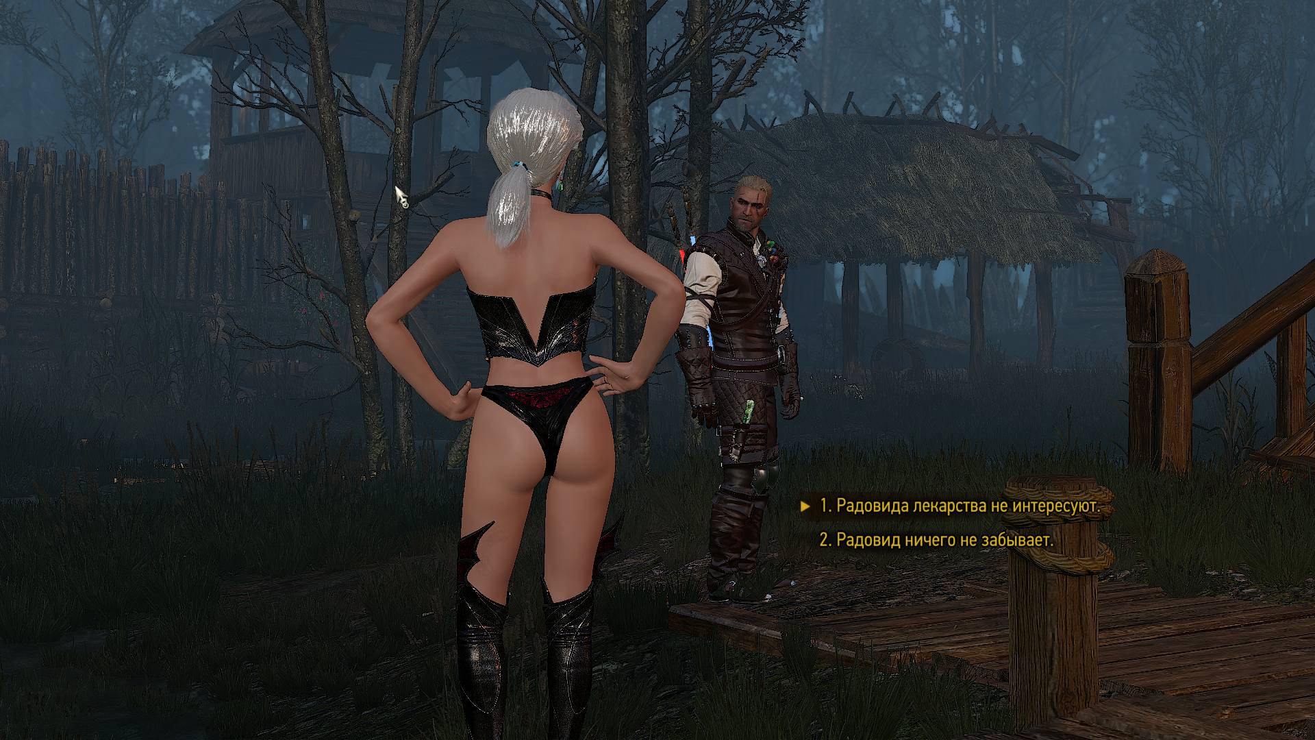 witcher3 2021-08-22 11-54-09-09.jpg