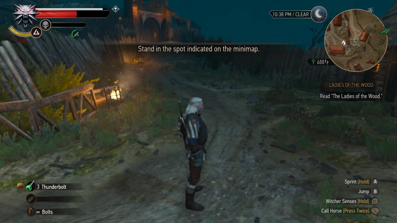 witcher3bug.jpeg